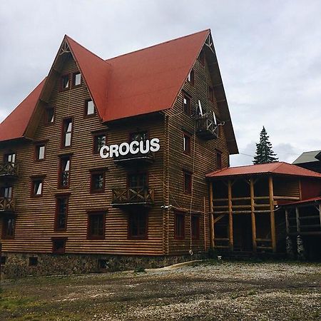 Crocus Ξενοδοχείο Dragobrat Εξωτερικό φωτογραφία